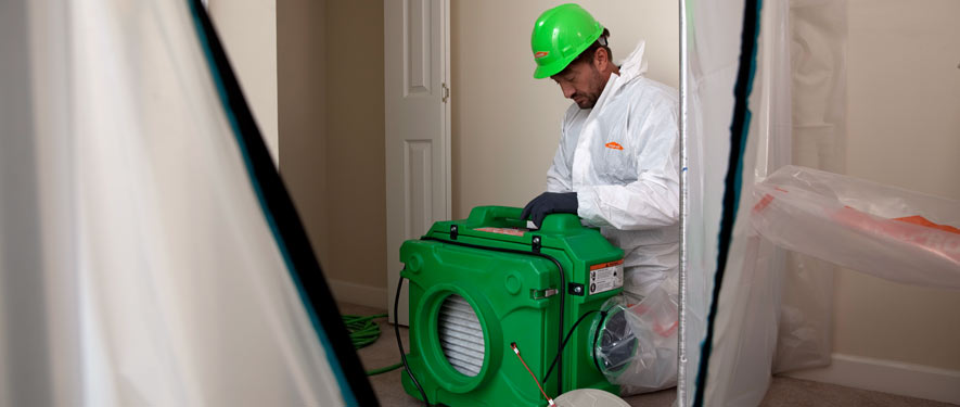 Shreveport, LA mold cleanup