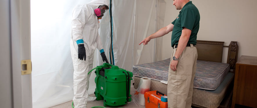 Shreveport, LA mold removal process